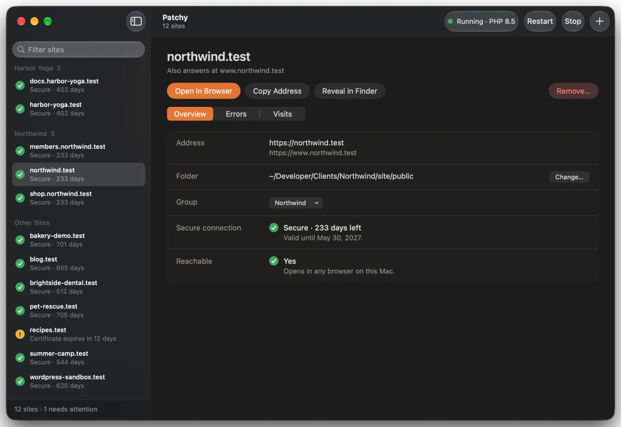 Patchy UI's main window, with a sidebar of local sites and the selected site's address, folder and secure connection